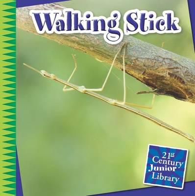 Book cover for Walking Stick