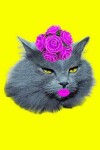 Book cover for Pop Art Funny Cat Bullet Journal