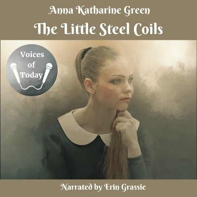 Book cover for The Little Steel Coils