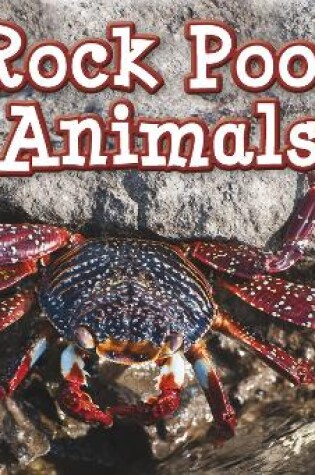 Cover of Rock Pool Animals