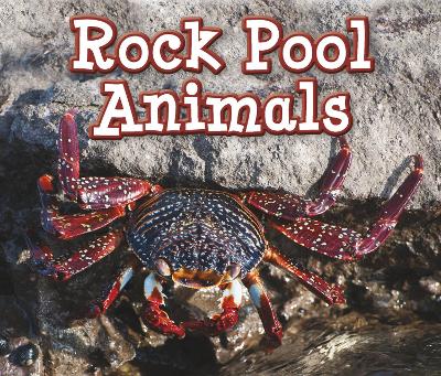 Book cover for Rock Pool Animals