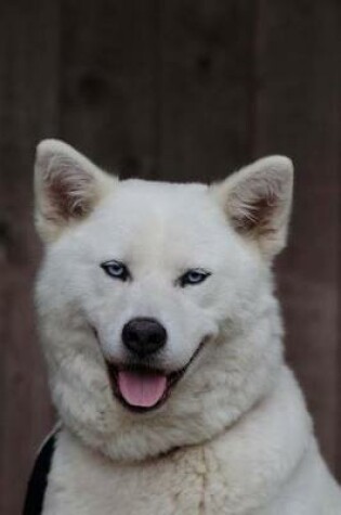Cover of White Akita Inu (Husky Hybrid) Dog Journal