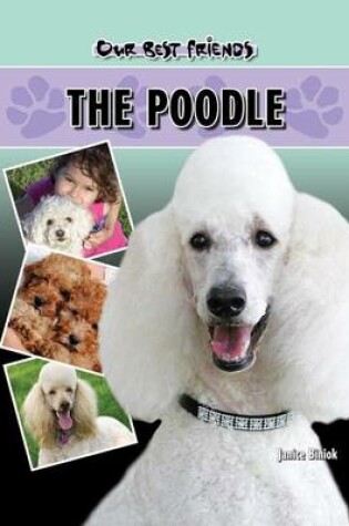 Cover of Poodle