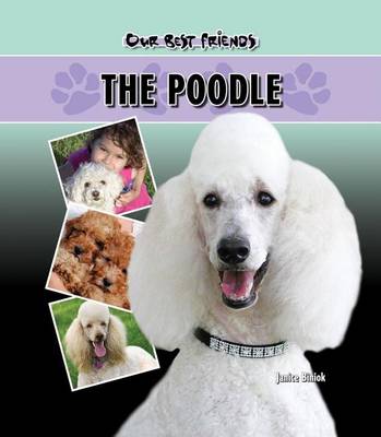 Cover of Poodle