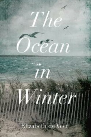 Cover of The Ocean in Winter