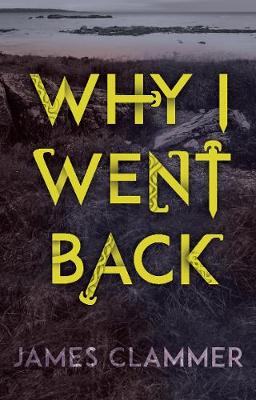 Book cover for Why I Went Back