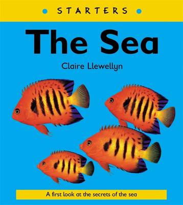 Book cover for The Sea