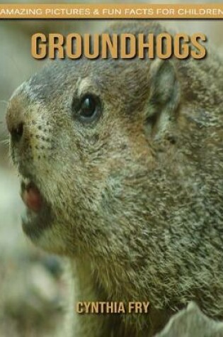 Cover of Groundhogs