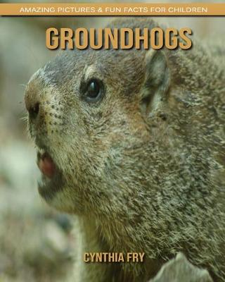 Book cover for Groundhogs