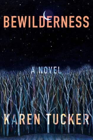 Cover of Bewilderness