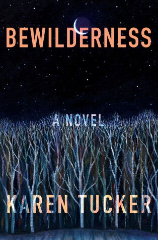 Book cover for Bewilderness