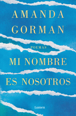 Book cover for Mi nombre es nosotros / Call Us What We Carry