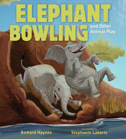 Book cover for Elephant Bowling and Other Animal Play