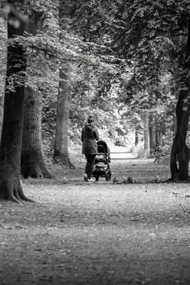 Book cover for A Woman Pushing a Stroller Through the Woods