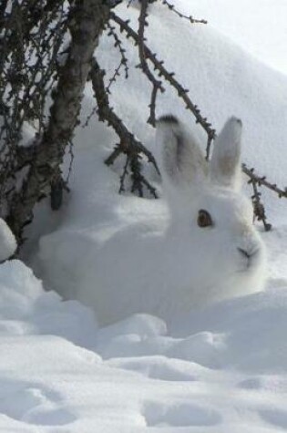 Cover of Lovely White Snowshoe Hare Hiding in the Snow Journal