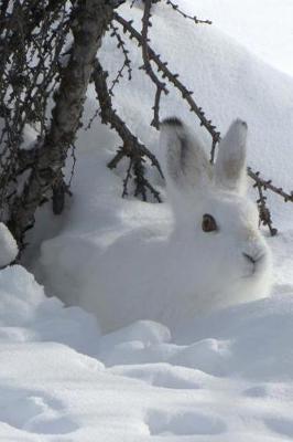 Book cover for Lovely White Snowshoe Hare Hiding in the Snow Journal