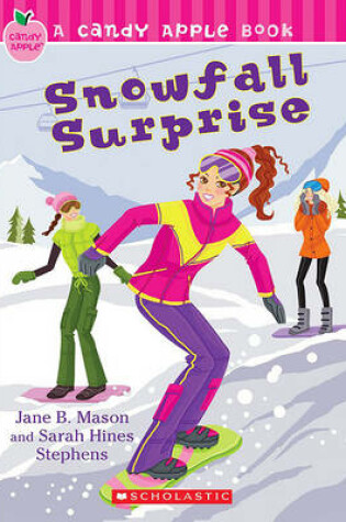 Cover of Snowfall Surprise