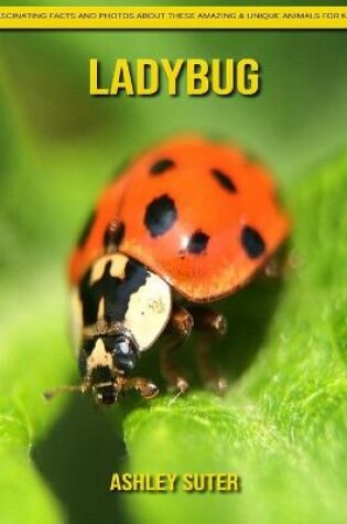 Cover of Ladybug