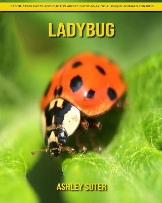 Book cover for Ladybug