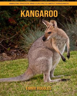 Book cover for Kangaroo