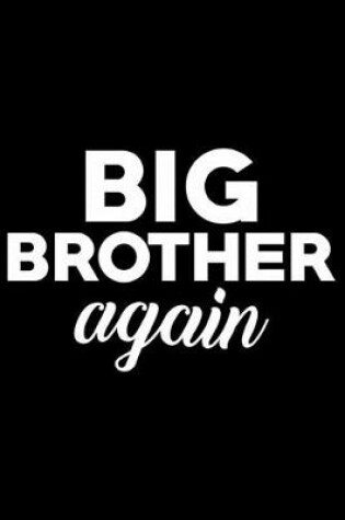 Cover of Big Brother Again