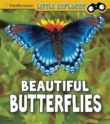 Book cover for Beautiful Butterflies