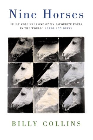 Cover of Nine Horses