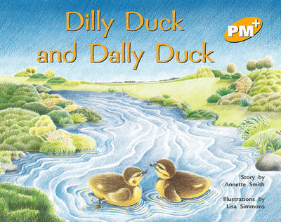 Book cover for Dilly Duck and Dally Duck