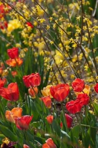 Cover of Springtime Flowers - Lined Notebook with Margins