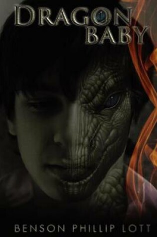Cover of Dragonbaby 2