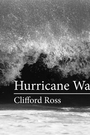 Cover of Hurricane Waves