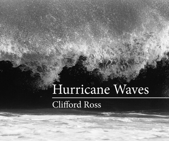 Book cover for Hurricane Waves