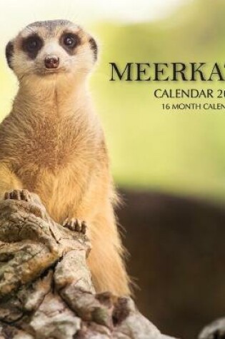 Cover of Meerkat Calendar 2021