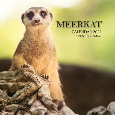 Book cover for Meerkat Calendar 2021