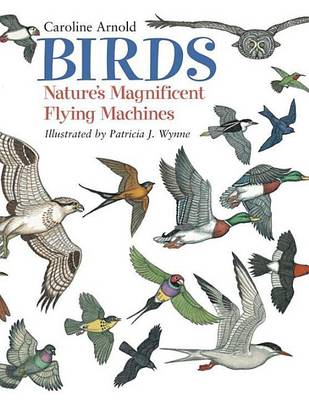 Book cover for Birds