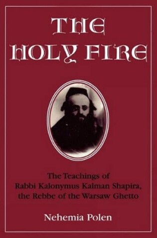 Cover of The Holy Fire