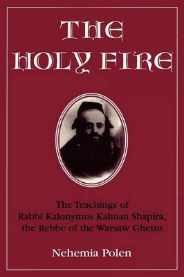 Book cover for The Holy Fire