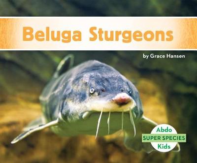 Cover of Beluga Sturgeons