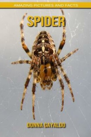 Cover of Spider