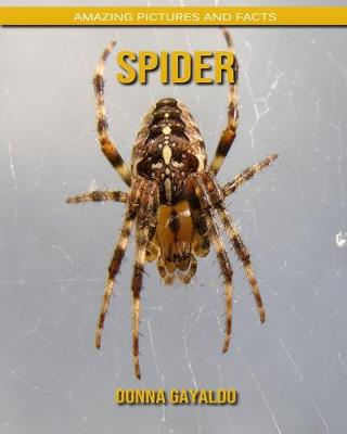 Book cover for Spider