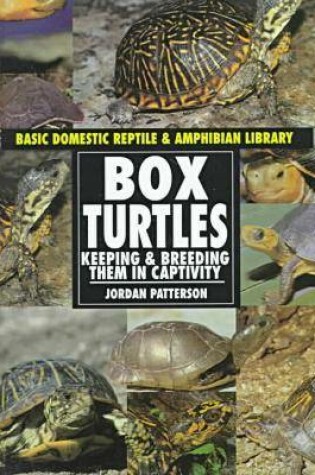 Cover of Box Turtles