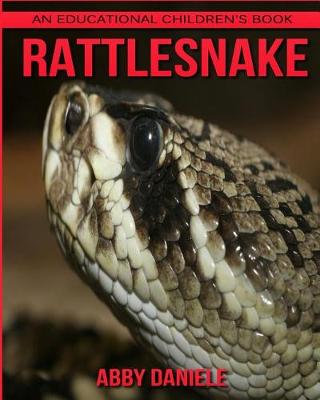 Book cover for Rattlesnake! An Educational Children's Book about Rattlesnake with Fun Facts & Photos