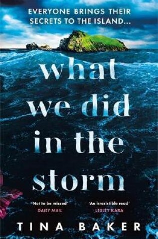 Cover of What We Did In The Storm