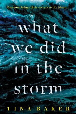 Cover of What We Did In The Storm