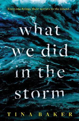 Cover of What We Did In The Storm