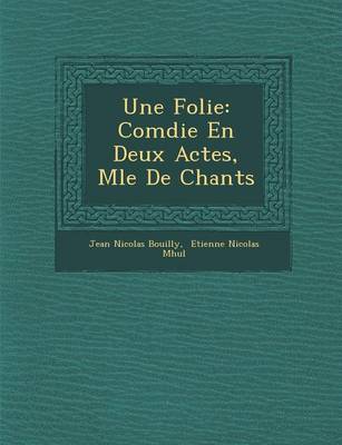 Book cover for Une Folie