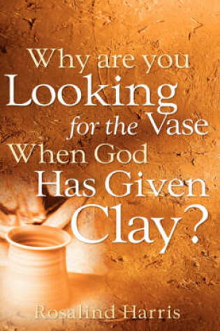 Cover of Why are you Looking for the Vase When God Has Given Clay?