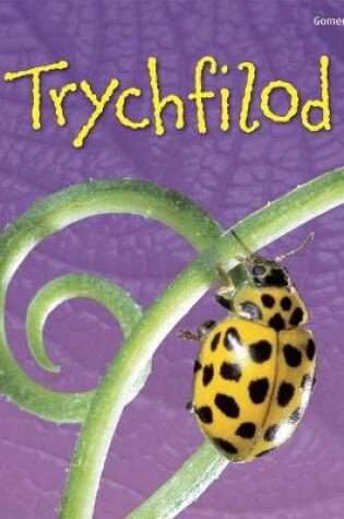 Cover of Cyfres Dechrau Da: Trychfilod