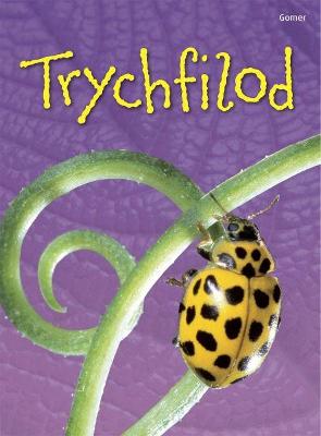 Book cover for Cyfres Dechrau Da: Trychfilod