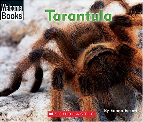 Book cover for Tarantula